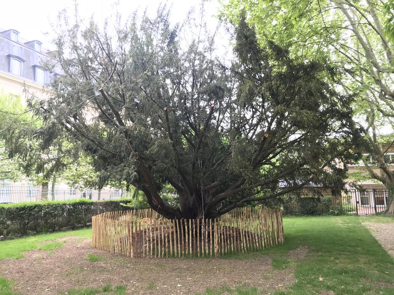Création-09