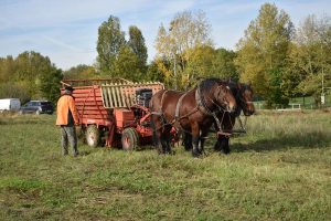 Fauchage-017