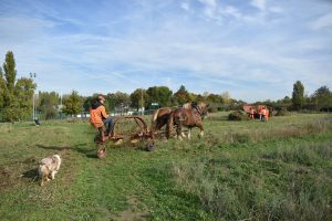 Fauchage-023