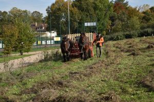Fauchage-024