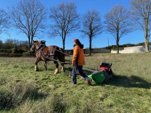 Fauchage-027
